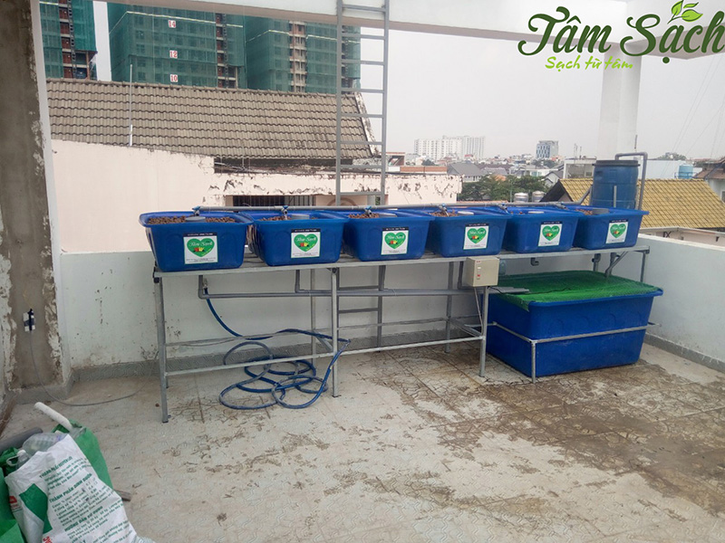 giàn trồng rau sạch tại nhà