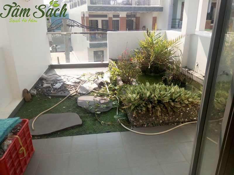 hệ thống Aquaponics giá rẻ