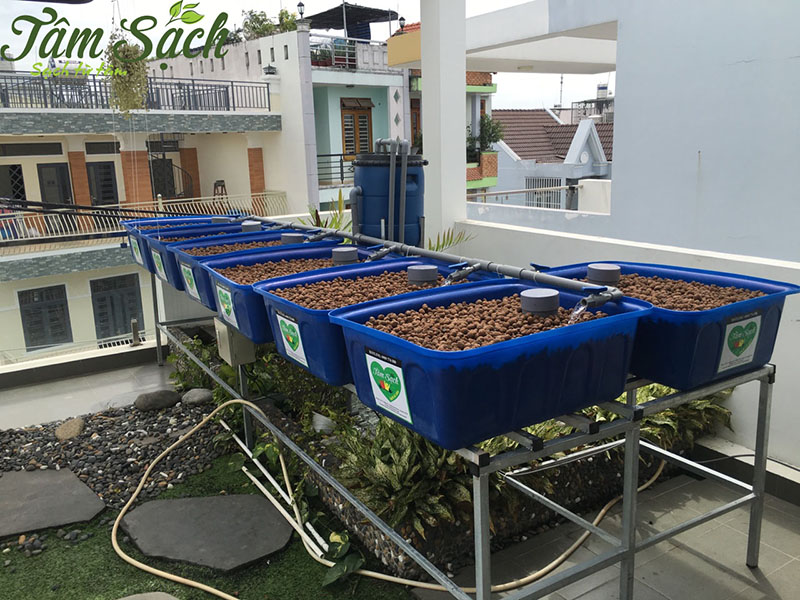 hệ thống Aquaponics giá rẻ