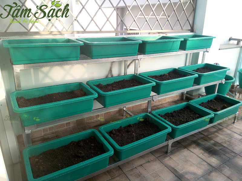 kệ trồng rau 3 tầng TPHCM