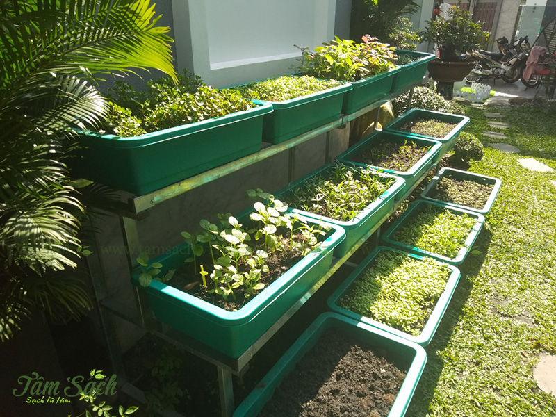 kệ trồng rau 3 tầng TPHCM