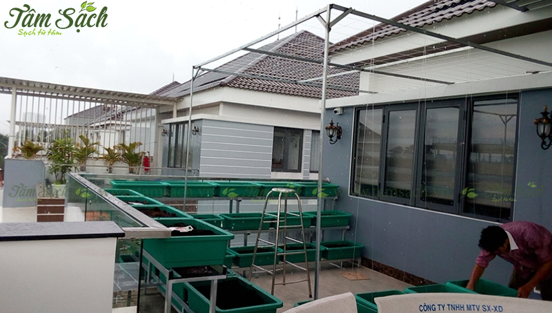 kệ trồng rau 3 tầng TPHCM