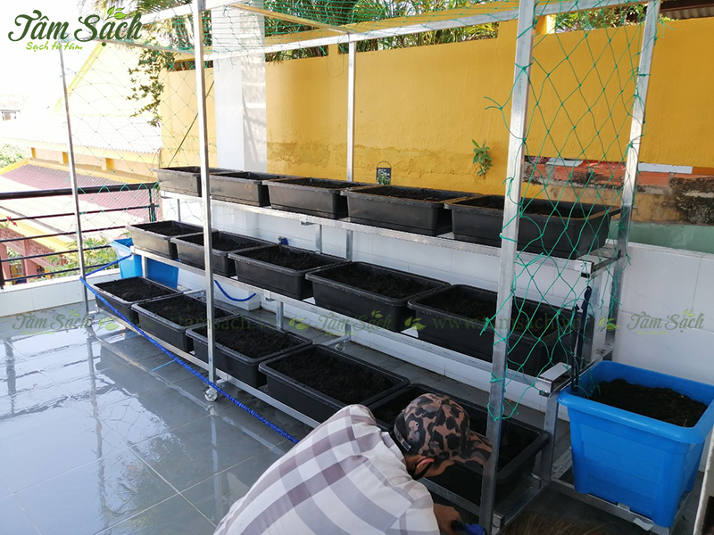 kệ trồng rau 3 tầng TPHCM