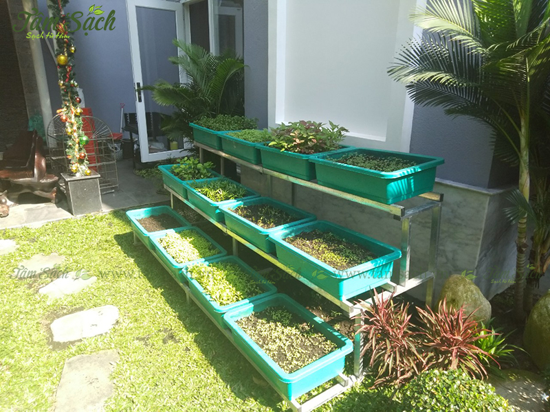 kệ trồng rau 3 tầng TPHCM