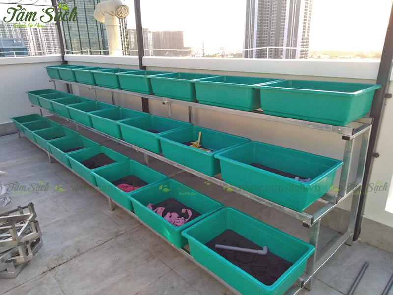 kệ trồng rau 3 tầng TPHCM