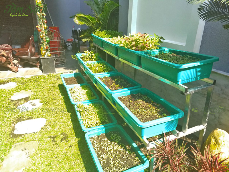 kệ trồng rau 3 tầng TPHCM