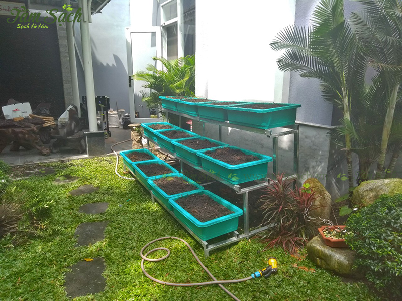 kệ trồng rau 3 tầng TPHCM