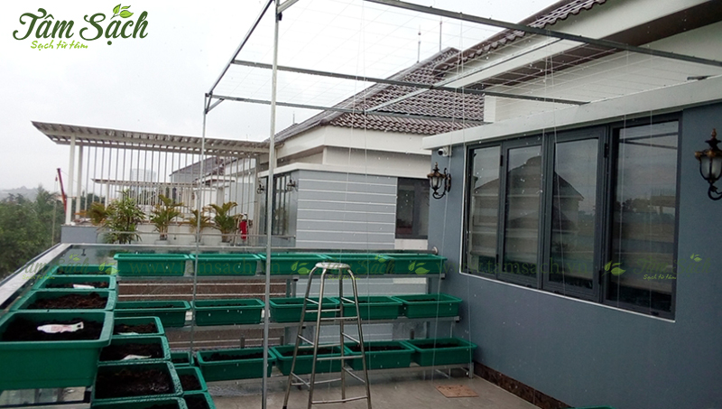 kệ trồng rau 3 tầng TPHCM