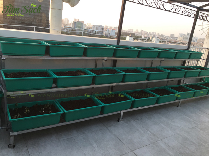 kệ trồng rau 3 tầng TPHCM