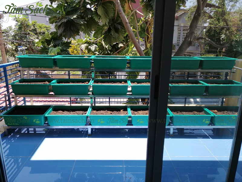 kệ trồng rau 3 tầng TPHCM