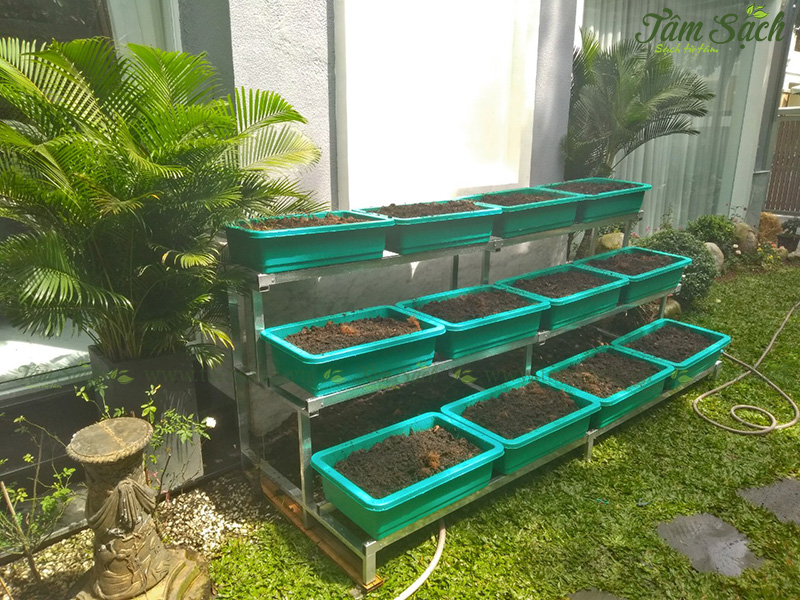 kệ trồng rau 3 tầng TPHCM