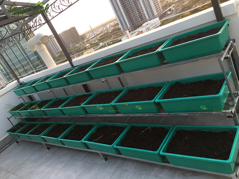 kệ trồng rau 3 tầng TPHCM