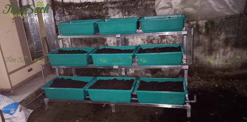kệ trồng rau 3 tầng TPHCM