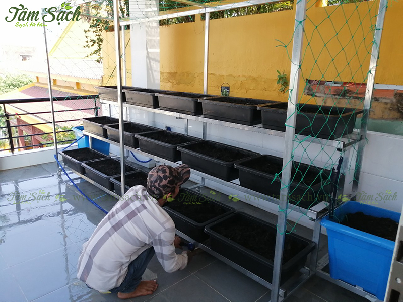 kệ trồng rau 3 tầng TPHCM