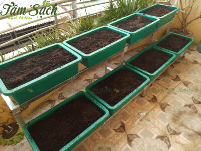 kệ trồng rau thổ canh 8 khay tưới tay