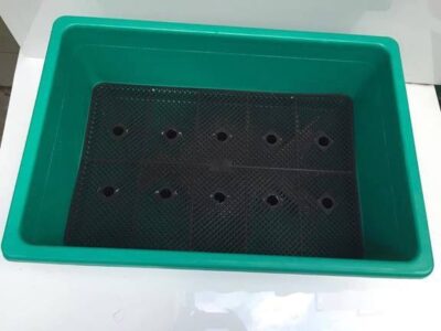 khay nhựa trồng rau sạch