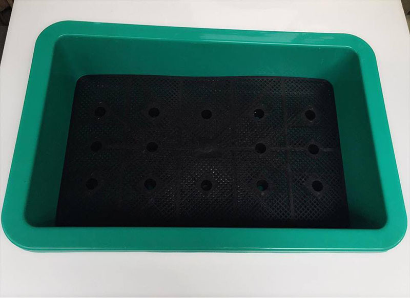 khay nhựa trồng rau sạch