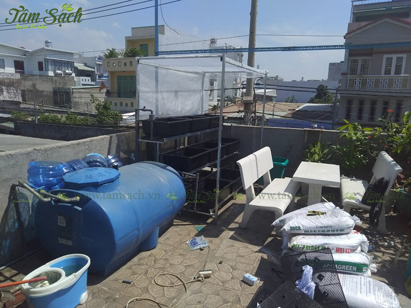 khay nhựa trồng rau thông minh tưới tự động