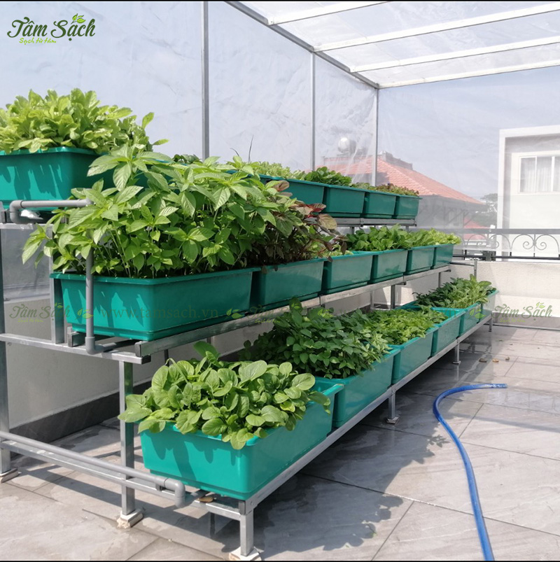 khay nhựa trồng rau thông minh tưới tự động