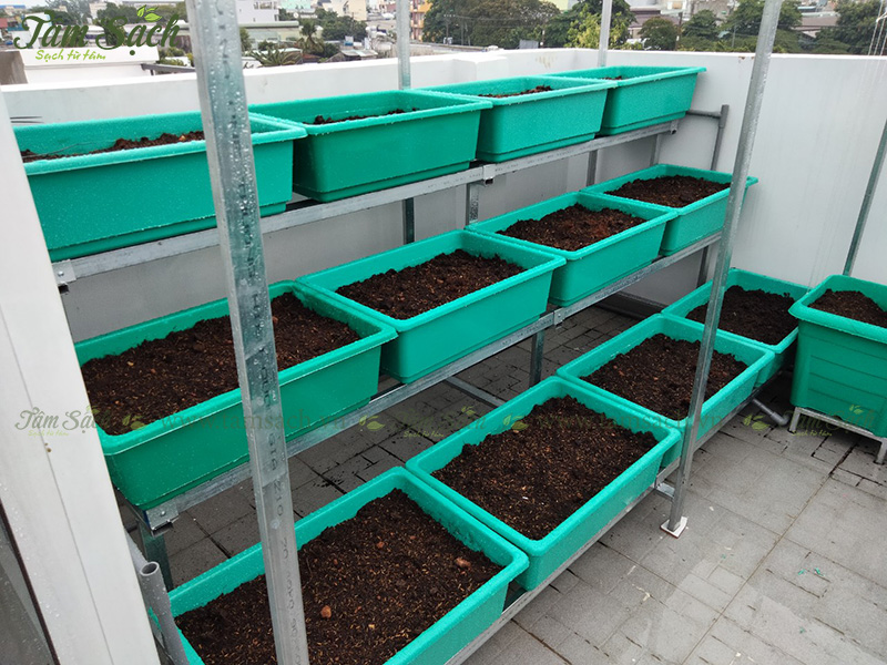 khay nhựa trồng rau thông minh tưới tự động