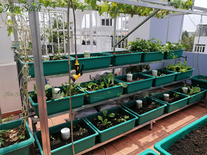 khay nhựa trồng rau thông minh tưới tự động