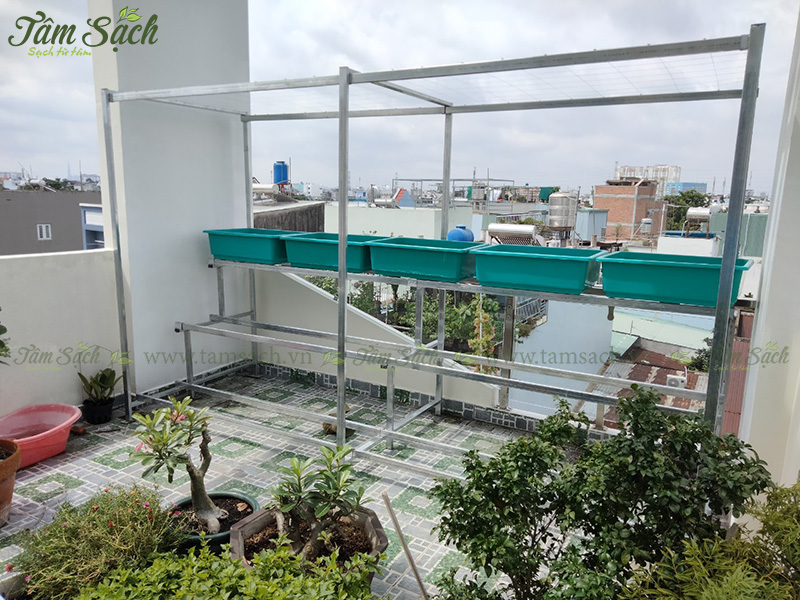 khay nhựa trồng rau thông minh tưới tự động