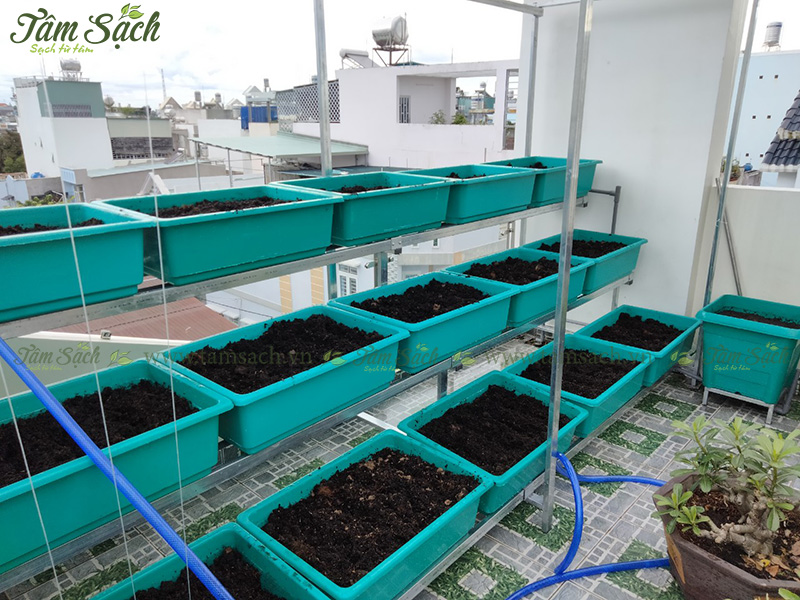 khay nhựa trồng rau thông minh tưới tự động
