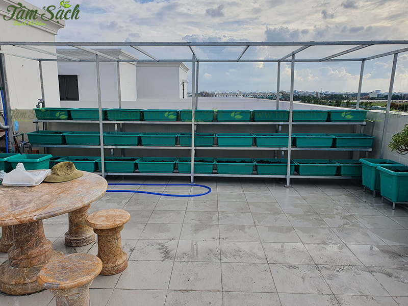 khay nhựa trồng rau thông minh tưới tự động