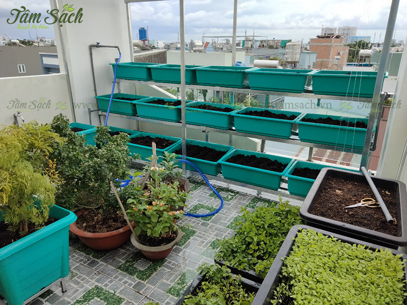 khay nhựa trồng rau thông minh tưới tự động