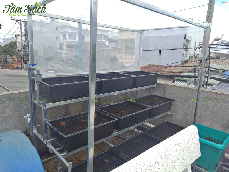 khay nhựa trồng rau thông minh tưới tự động