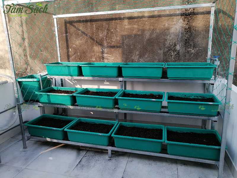 khay nhựa trồng rau thông minh tưới tự động