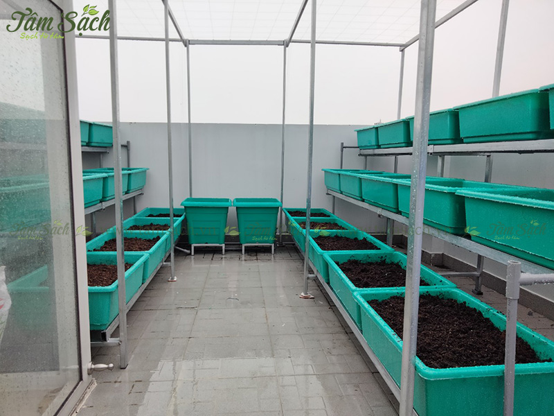 khay nhựa trồng rau thông minh tưới tự động