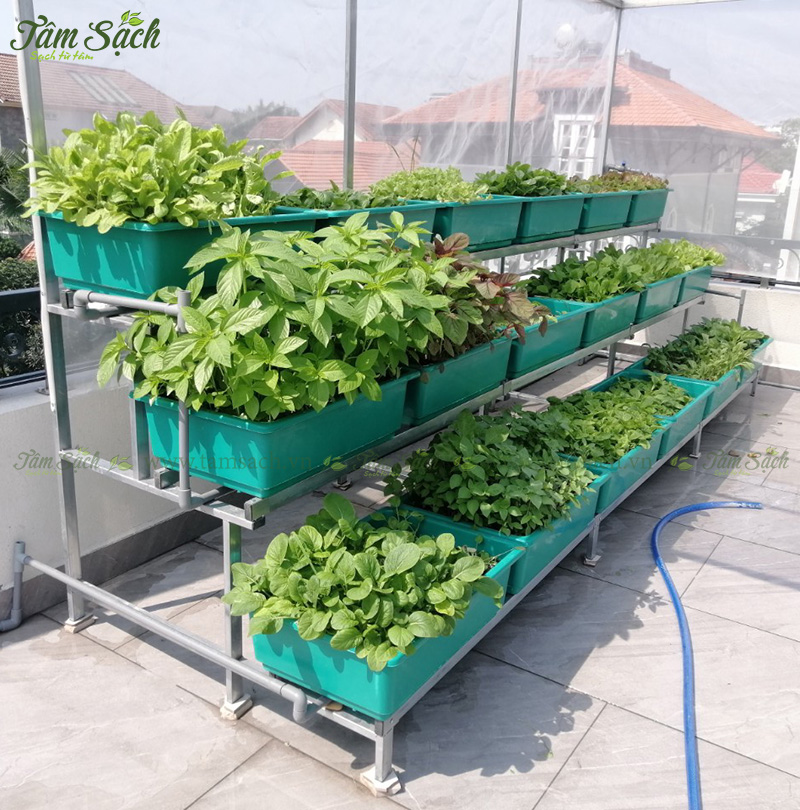 khay nhựa trồng rau thông minh tưới tự động