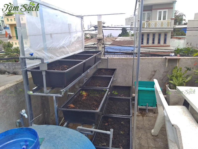 khay nhựa trồng rau thông minh tưới tự động