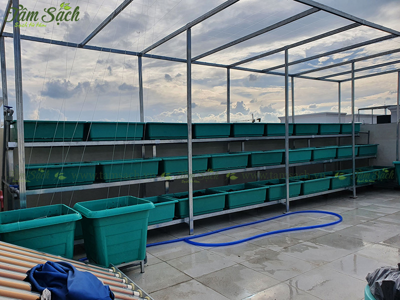 khay nhựa trồng rau thông minh tưới tự động