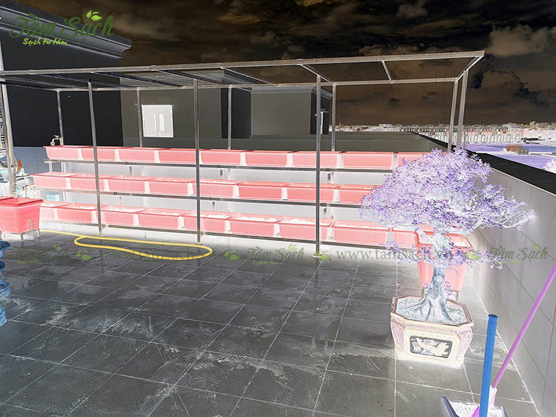 khay nhựa trồng rau thông minh tưới tự động