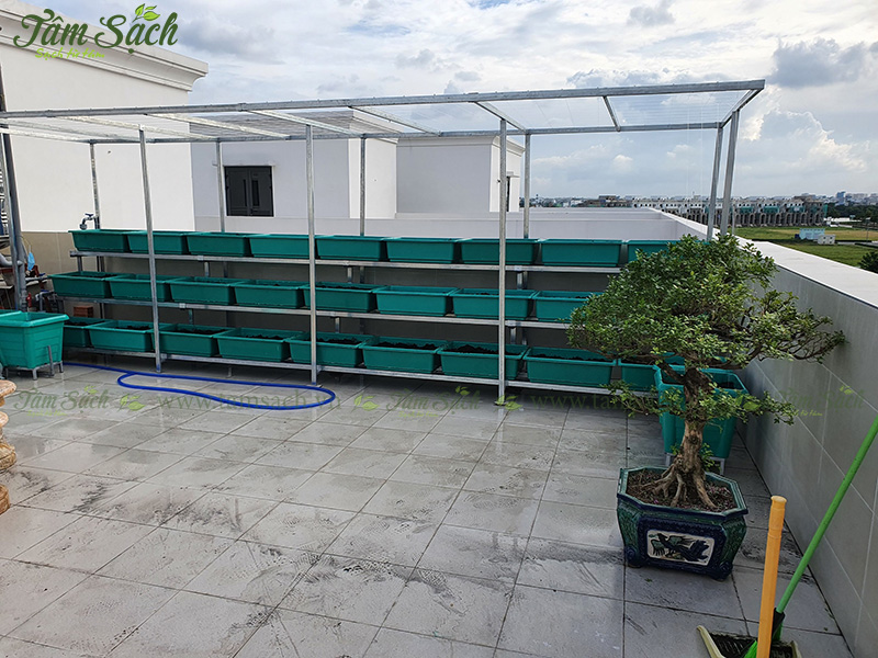 khay nhựa trồng rau thông minh tưới tự động