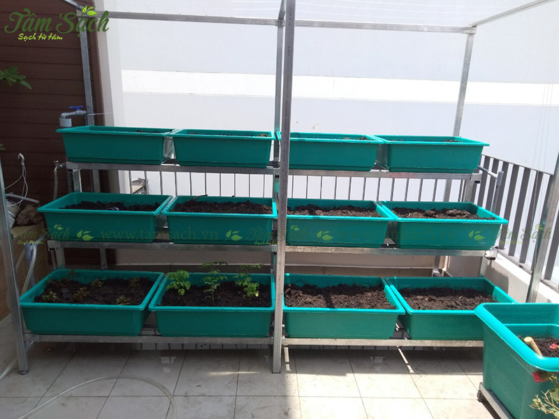 khay nhựa trồng rau thông minh tưới tự động