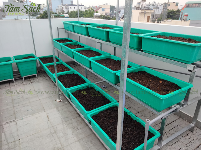 khay nhựa trồng rau thông minh tưới tự động