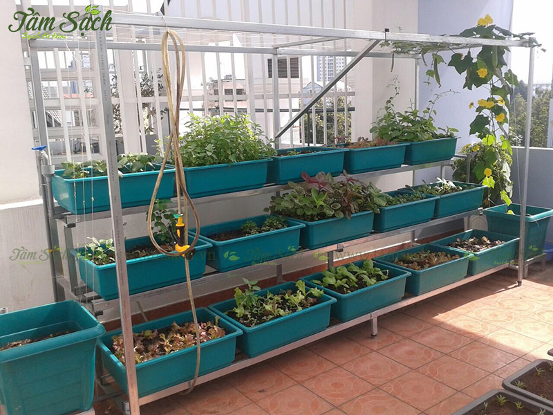 khay nhựa trồng rau thông minh tưới tự động