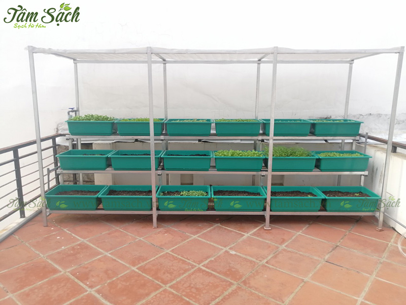 khay nhựa trồng rau thông minh tưới tự động