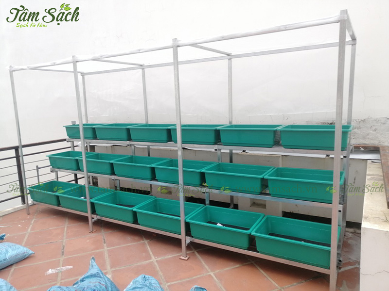 khay nhựa trồng rau thông minh tưới tự động