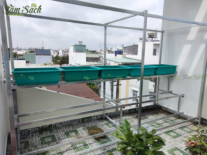 khay nhựa trồng rau thông minh tưới tự động