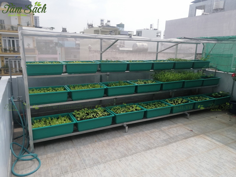 khay nhựa trồng rau thông minh tưới tự động