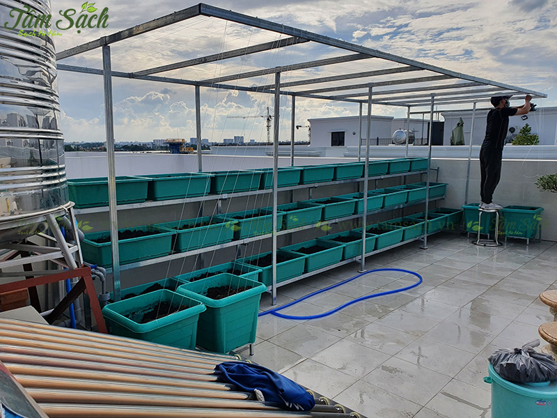 khay nhựa trồng rau thông minh tưới tự động