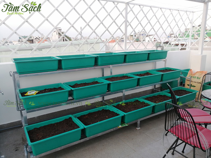 khay trồng rau 3 tầng thông minh