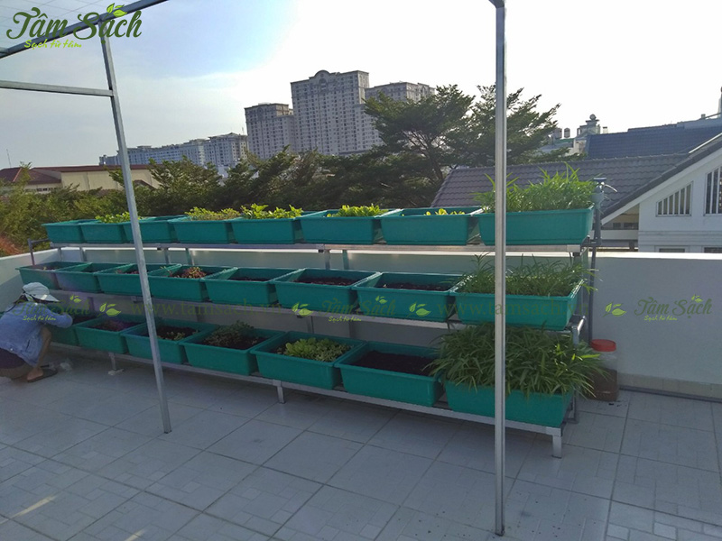 khay trồng rau 3 tầng thông minh
