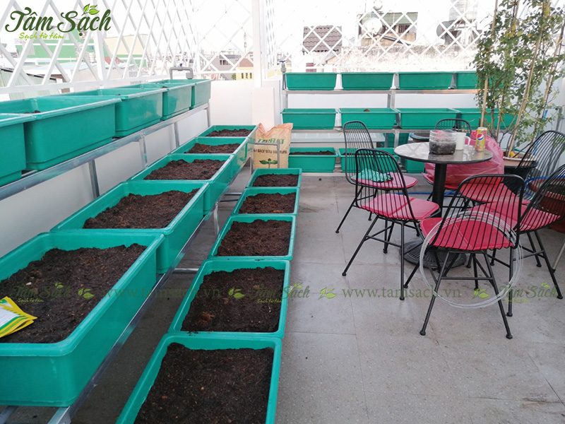 khay trồng rau 3 tầng thông minh