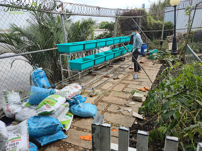 khay trồng rau 3 tầng thông minh