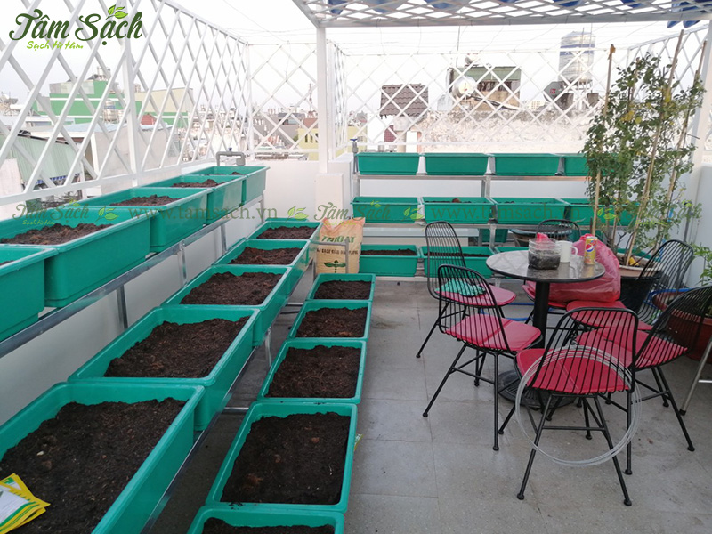 khay trồng rau 3 tầng thông minh